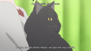 Kanojo to Kanojo no Neko: Everything Flows